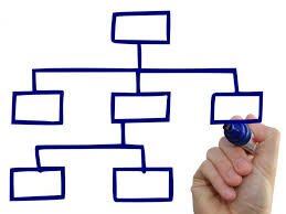 organigramma_1.jpg
